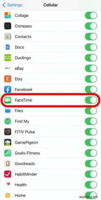 FaceTime Not Working or Keeps Freezing On iOS 15: Solved