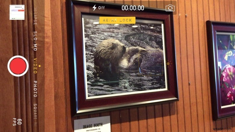 7 Tips to Shoot iPhone Videos like a Pro