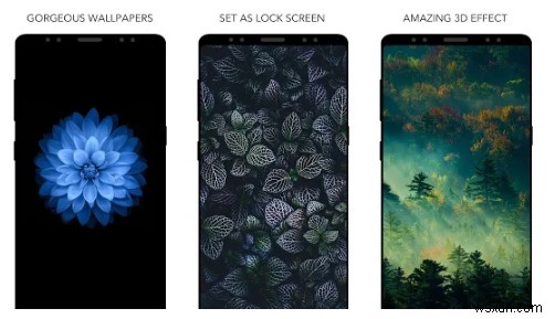 Here’re The Best Dynamic Wallpapers For Your Android & iPhone