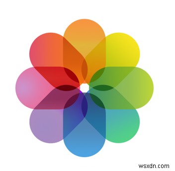 Where Did My Videos and Photos Go After I Downloaded iOS 12.4?