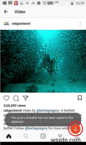 How To Download Videos From Twitter And Instagram On Android