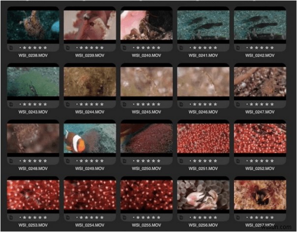 How To Find Duplicate Videos On Android Smartphone