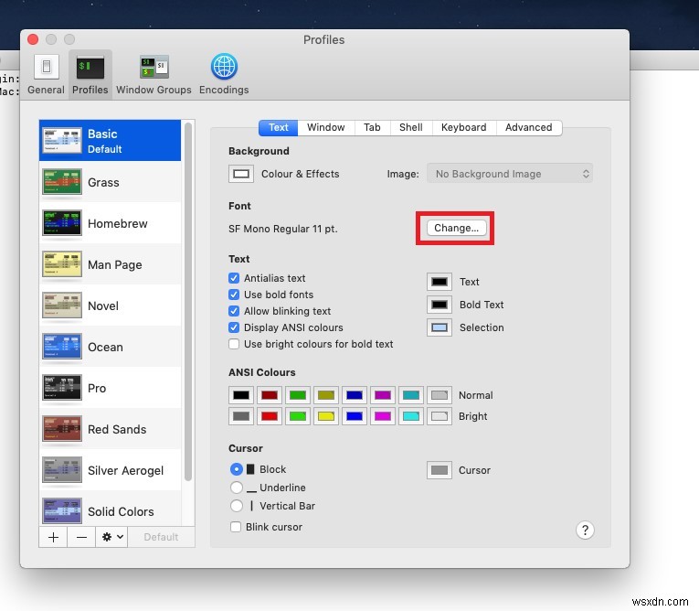 Steps To Customise Your Mac Terminal & Increase Productivity