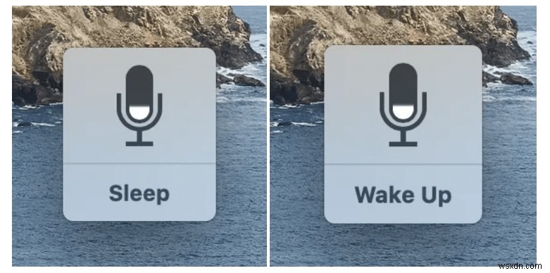 How to Use Voice Control on macOS Catalina
