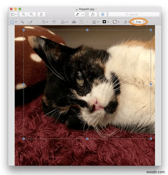 How to Crop a Screenshot on Mac