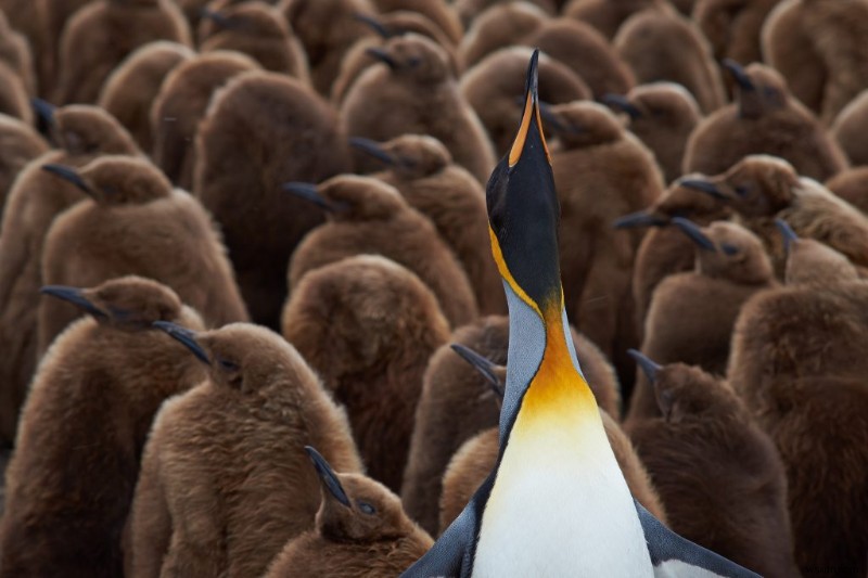 VMware Vs VirtualBox Vs Parallels: Which One To Choose On Mac?