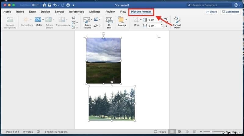 How to Shrink, Rotate, Flip JPEG Files on Mac Without Losing Quality
