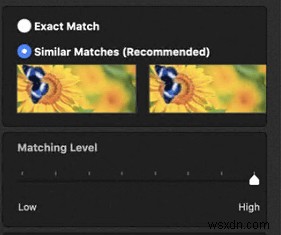 Duplicate Photos Fixer Pro: Clear Duplicate Photos On Mac In The Best Possible Way