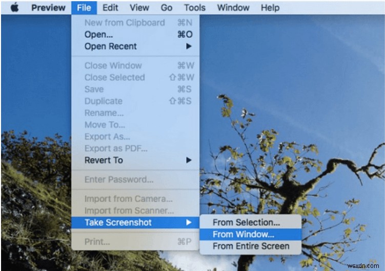How To Fix Screenshot On Mac Not Working Problem
