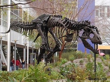 Mind Blowing Facts About Google That You Didn’t Know