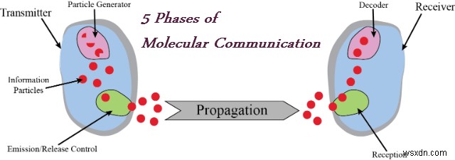 Molecular Communication – Inspired from Biological Communication Network