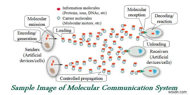 Molecular Communication – Inspired from Biological Communication Network