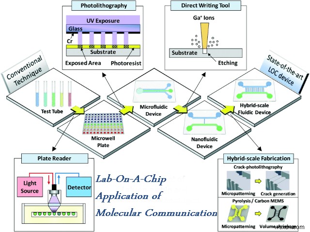Molecular Communication – Inspired from Biological Communication Network