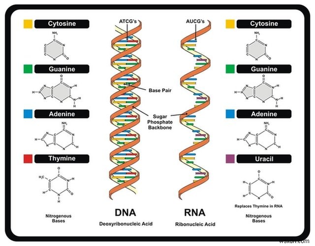 Interesting Facts about Biotechnology