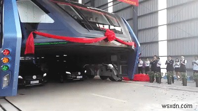 The Weird Car Straddling Bus SCAM: Another Reason To Not Go Chinese!