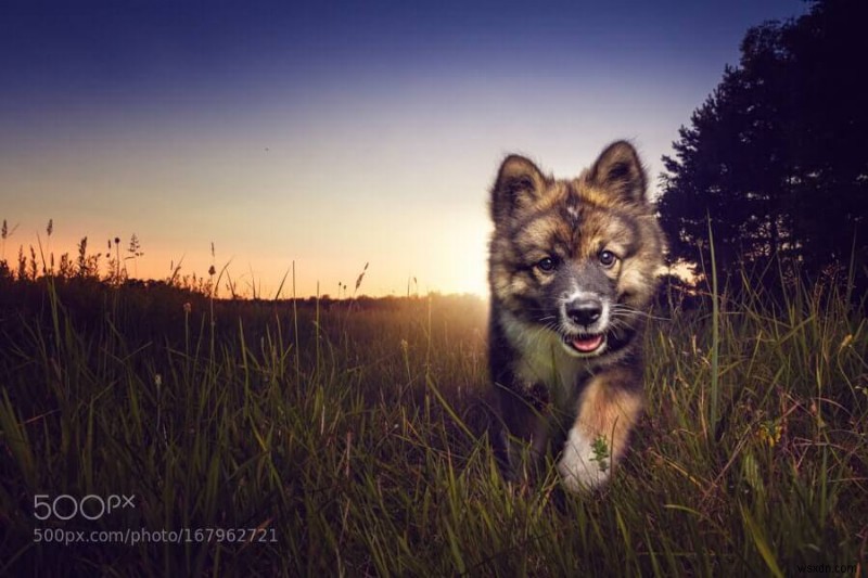 10 Best Photo Sharing Websites 2022 – Best Free Photo Sharing Site