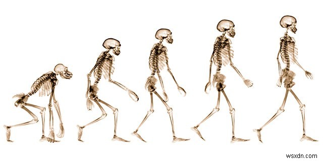 The Art Of Questioning Science