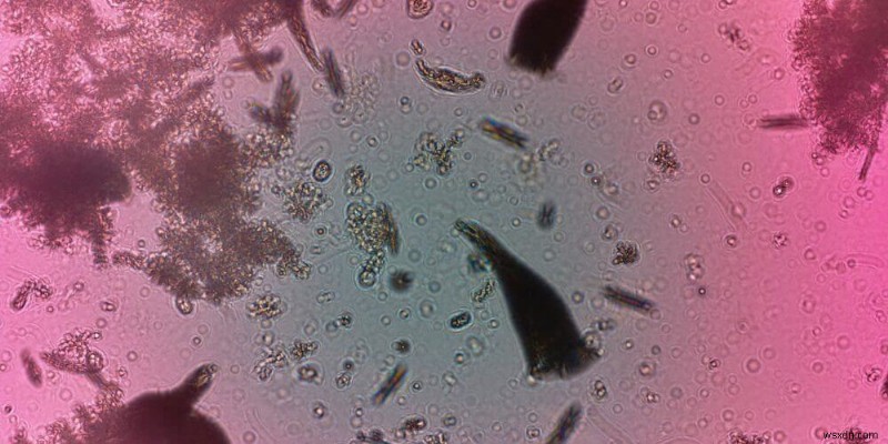 5 Technological Breakthroughs That Will Reshape The World In Next Five Years