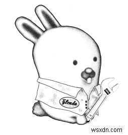 Best Raspberry Pi OS apart from Linux