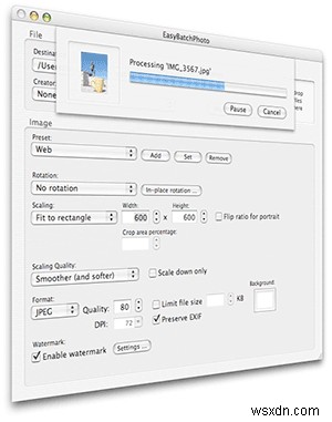 5 Best Bulk Image Resizer for Windows and Mac to Resize Multiple Photos