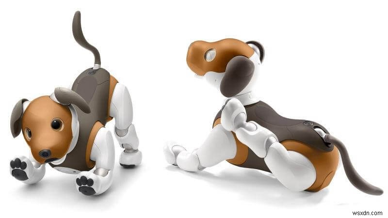 Say Hello to Sony Aibo—Coolest Robotic Dog of this Millennial