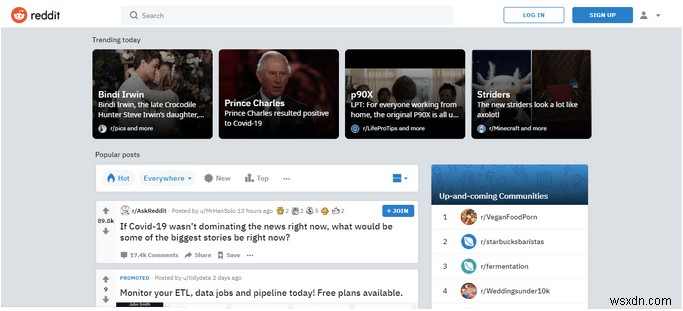 15 Best Tumblr Alternatives in 2022 for Creators and Bloggers