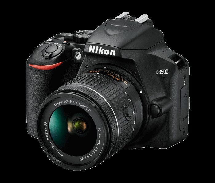 10 Best Budget DSLR Cameras For Beginners