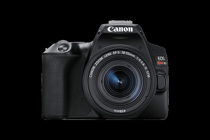 10 Best Budget DSLR Cameras For Beginners