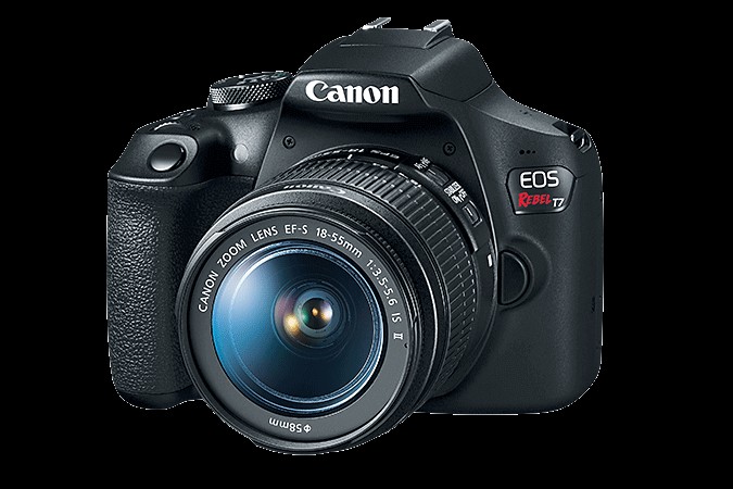 10 Best Budget DSLR Cameras For Beginners