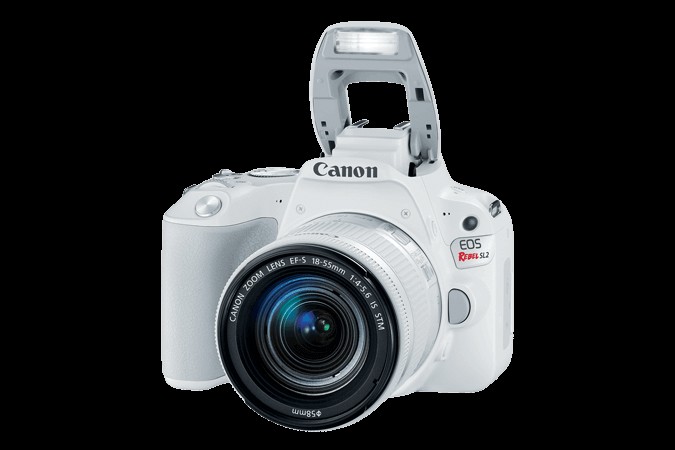 10 Best Budget DSLR Cameras For Beginners