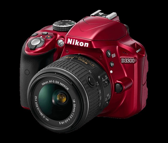 10 Best Budget DSLR Cameras For Beginners