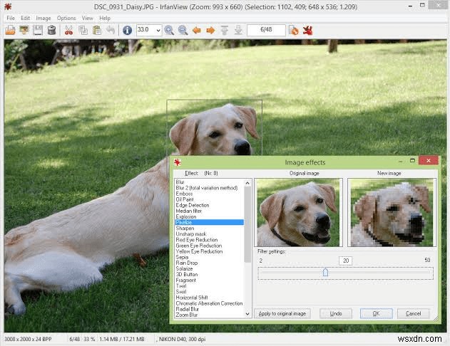 Top Picasa Alternatives To Manage Your Photos In 2022
