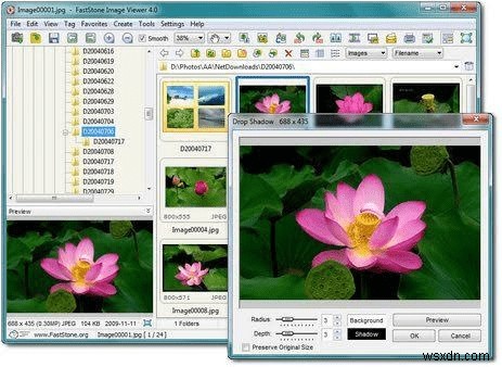 Top Picasa Alternatives To Manage Your Photos In 2022