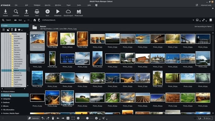 Top Picasa Alternatives To Manage Your Photos In 2022