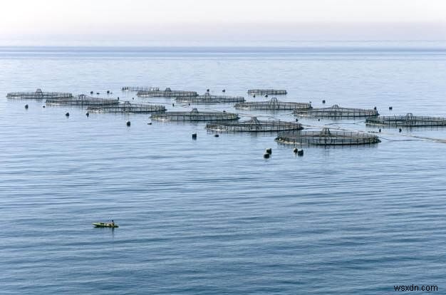 Technologies That Can Create Future Disruption