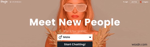 Top 8 Free Online Video Chat Websites To Make New Friends