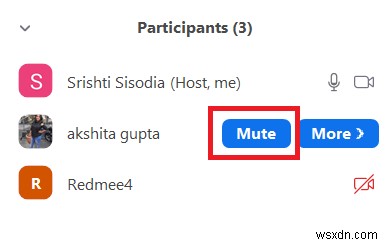 Different Ways To Mute Someone On Zoom Meeting