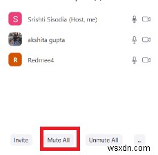 Different Ways To Mute Someone On Zoom Meeting