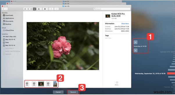 How to Recover Deleted Photos on Every Device