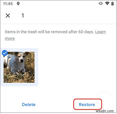 How to Recover Deleted Photos on Every Device