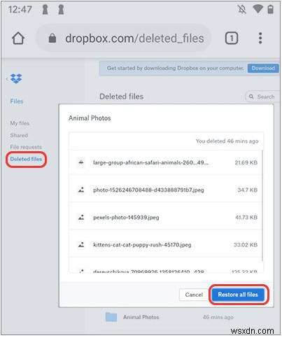 How to Recover Deleted Photos on Every Device
