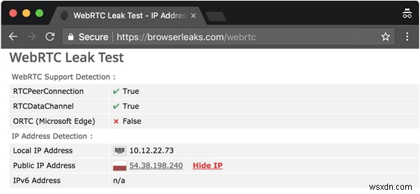 Is My VPN Working? How to Test for VPN Leaks?