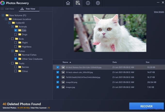 How to Recover Deleted Photo Folder on Windows PC