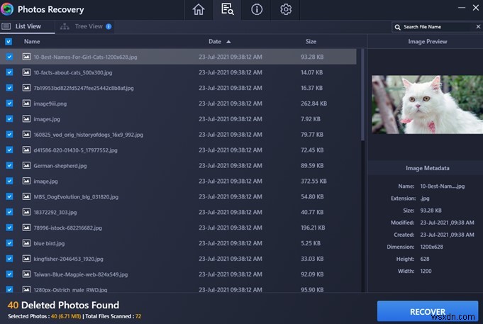 How to Recover Deleted Photo Folder on Windows PC