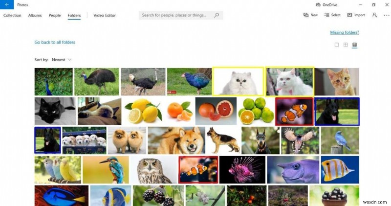 How To Use Microsoft’s Default App ‘Photos’ to Remove Duplicates?