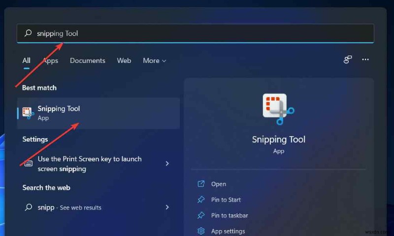 Print Screen not Working on Windows 11? Here’s the Fix!
