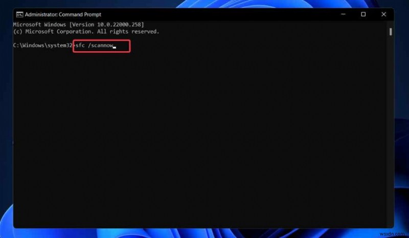 Print Screen not Working on Windows 11? Here’s the Fix!