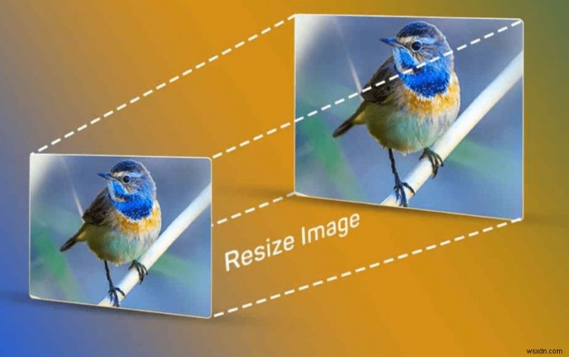 How To Adjust Image Orientation And Scale-Up Images Using The Image Resizer Tool