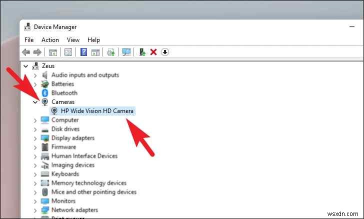 Windows 11 Webcam not Working? Here’s the Fix!