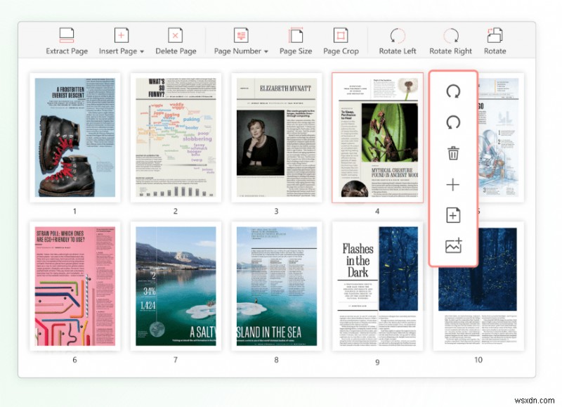 How Can PDF Editors Make Your Life Easy?
